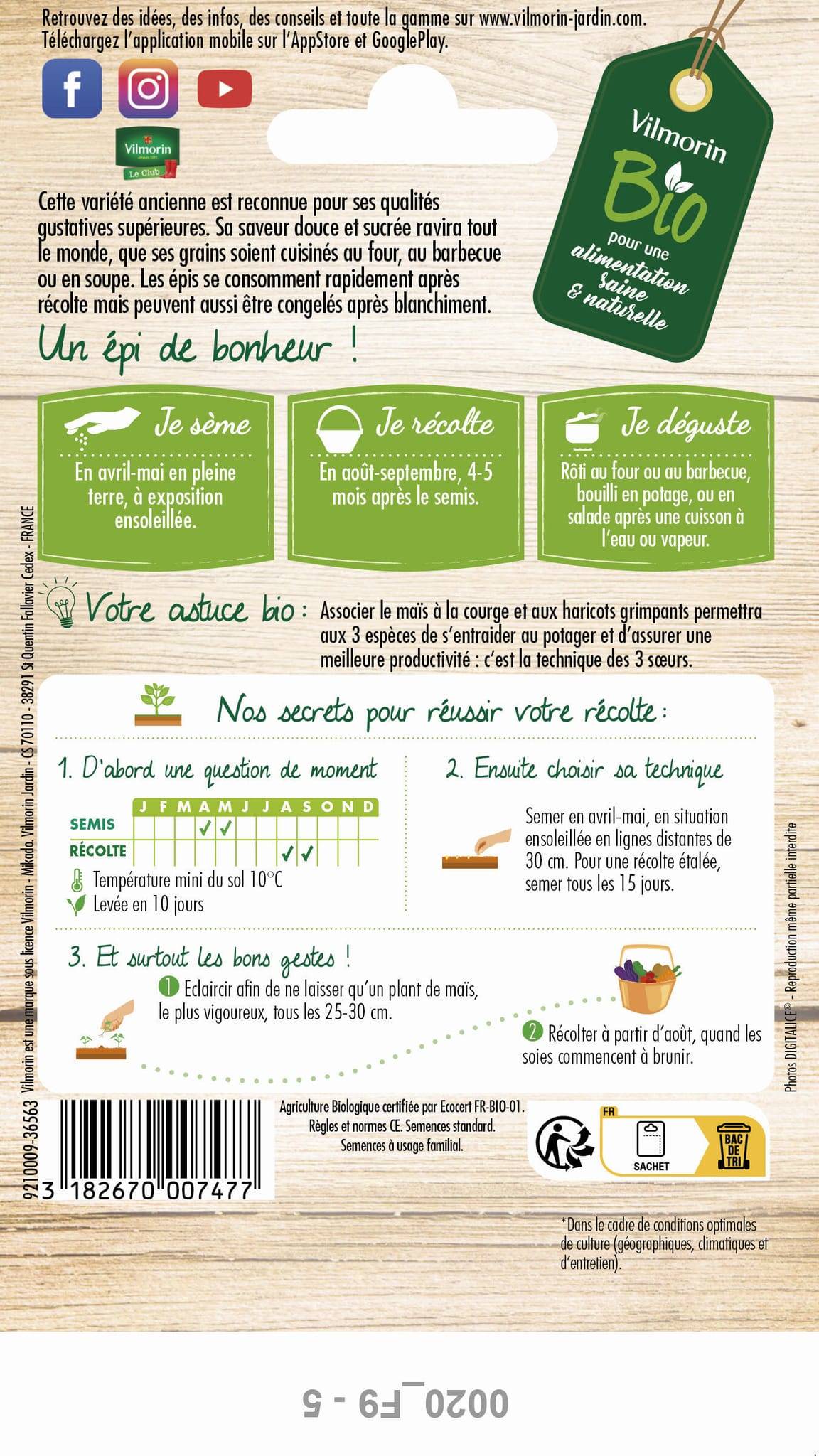 Vilmorin - Maïs Golden Bantam Bio serie 2 sachet graines 7 g - Vilmorin - Image 4