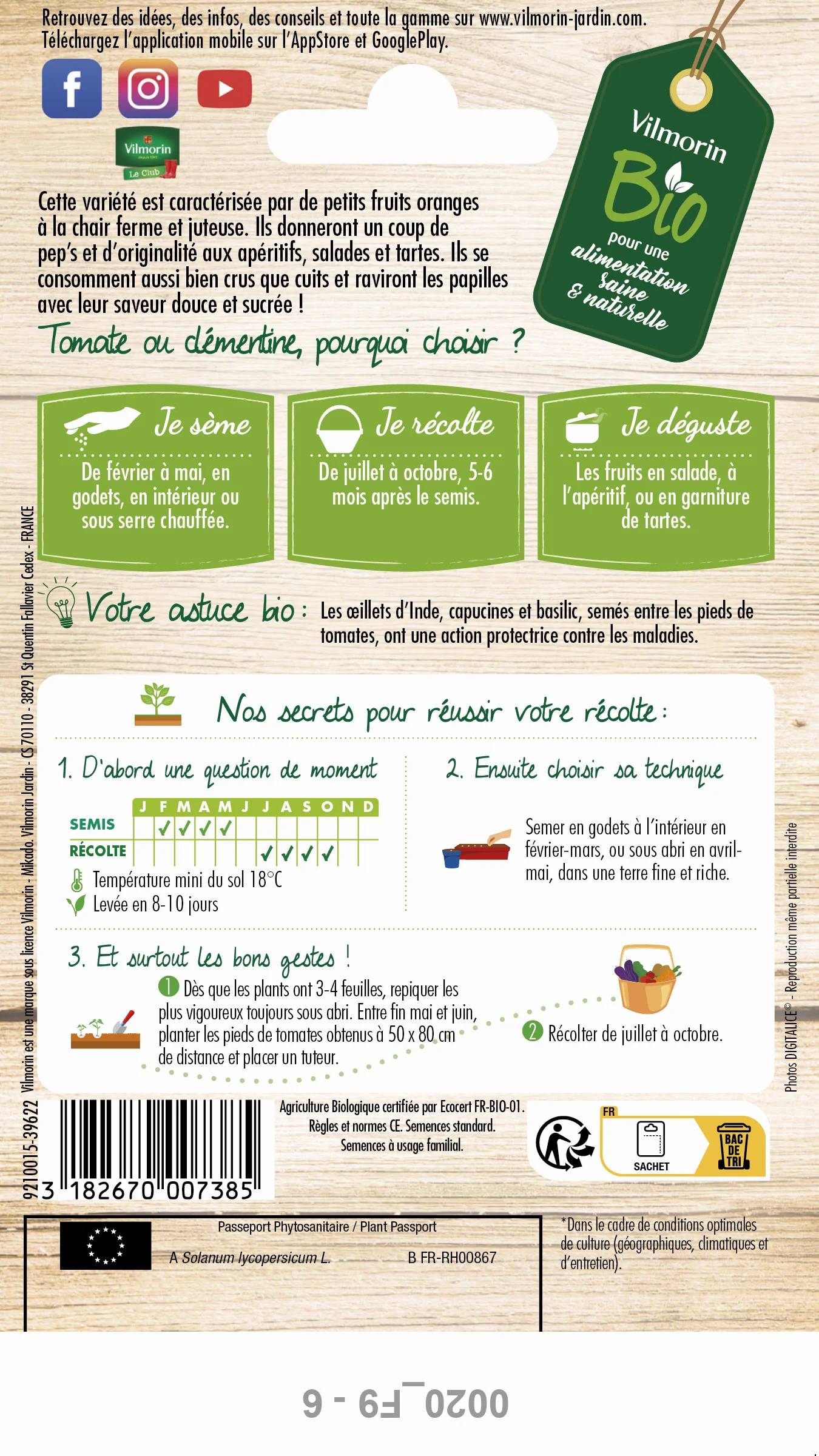 Vilmorin - Tomate cerise orange clémentine Bio série 2 sachet graines 0,15 g - Vilmorin - Image 2