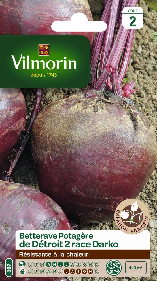Vilmorin - Sachet de graines de Bettrave potagère de Détroit 2 Darko - Série 2 - 5 g - VILMORIN - Image 1