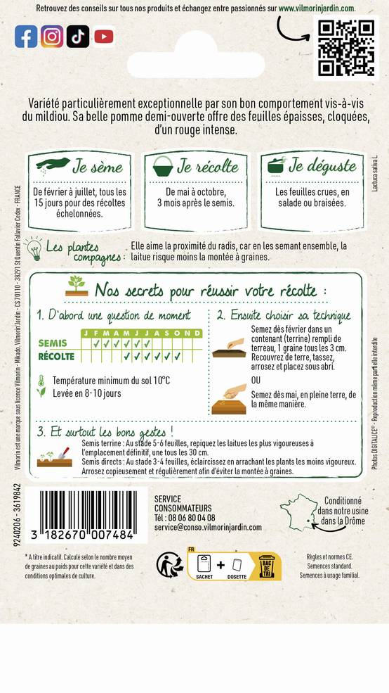 Vilmorin - Laitue pommée picholine série 2 sachet graines 2 g - Vilmorin - Image 2