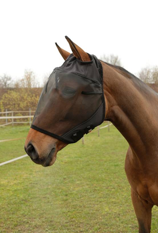 Masque anti-mouche full