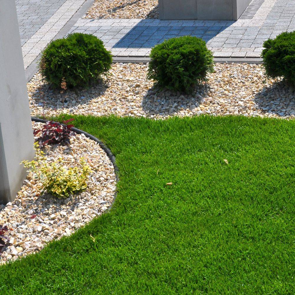 Ecloz - Ecloz - gazon facile rouleau 15 m² - Image 6