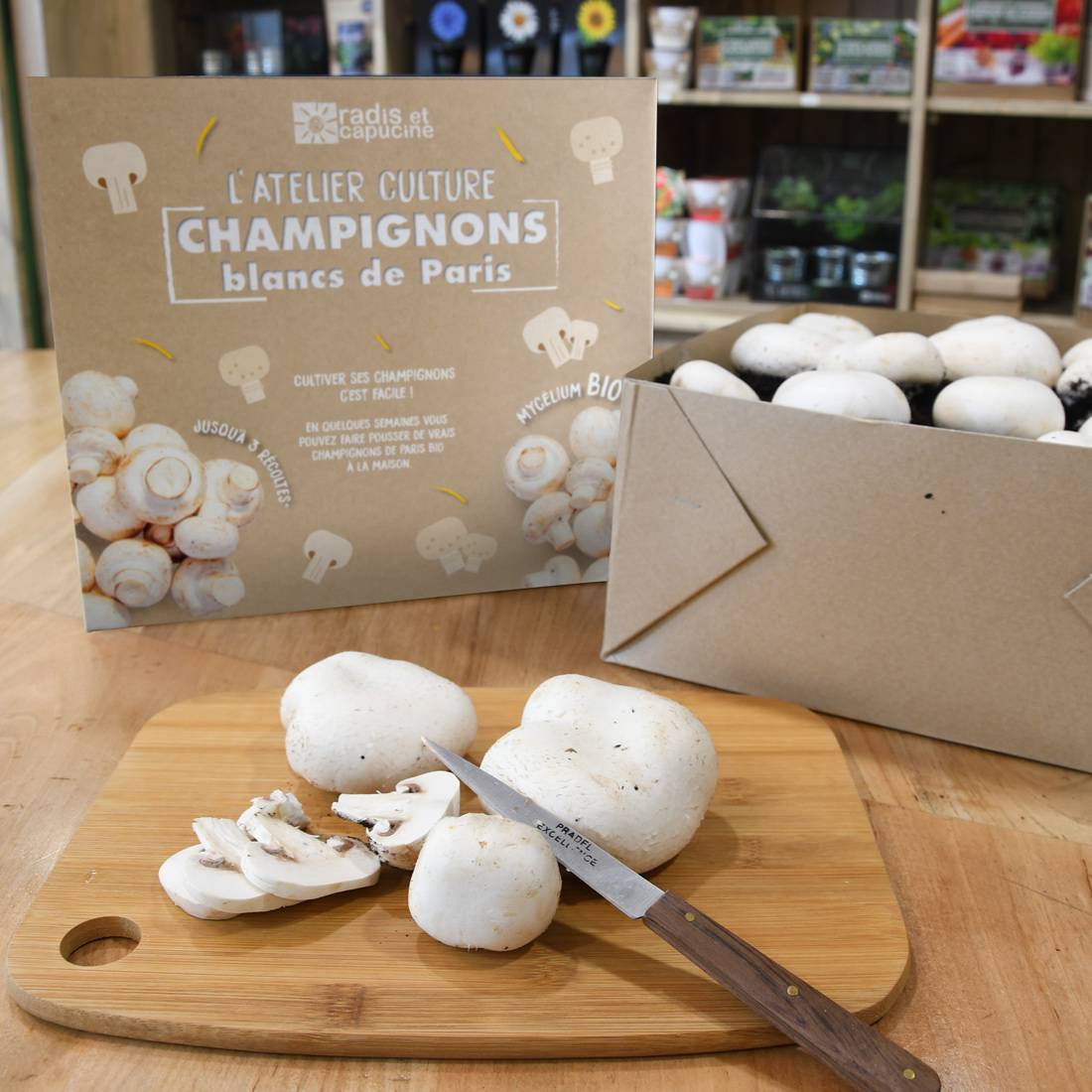 Kit Champignons GM blanc de Paris BIO* - RC