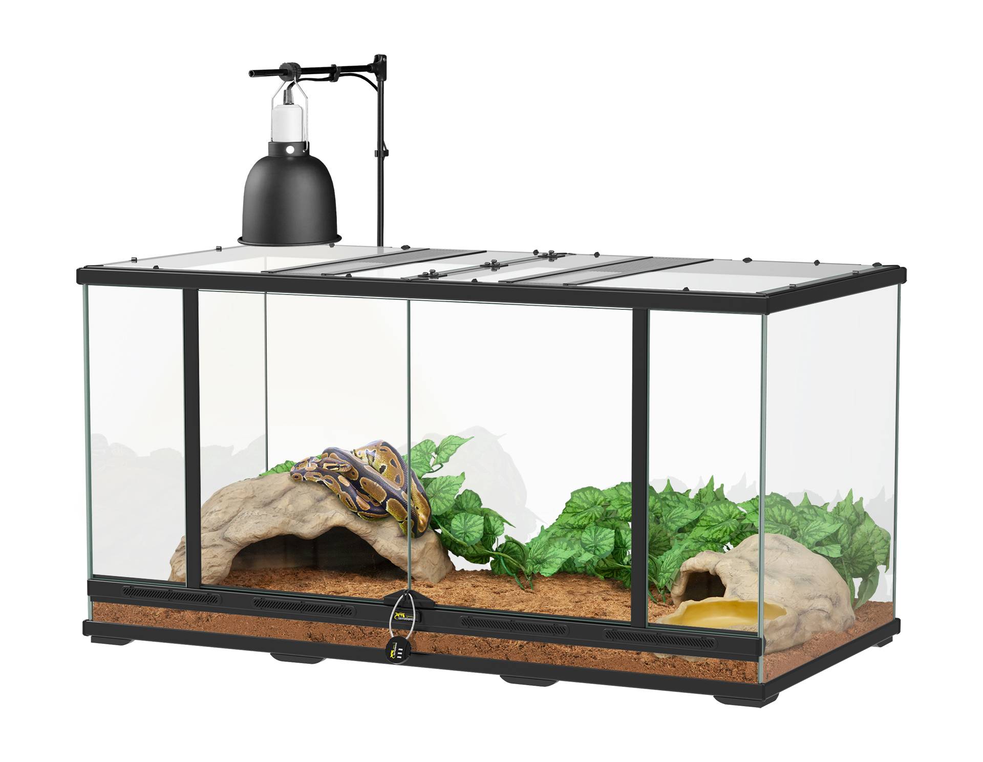 Aquatlantis - Aquatlantis - KIT SNAKE ADULTE 98X50X50CM NOIR
