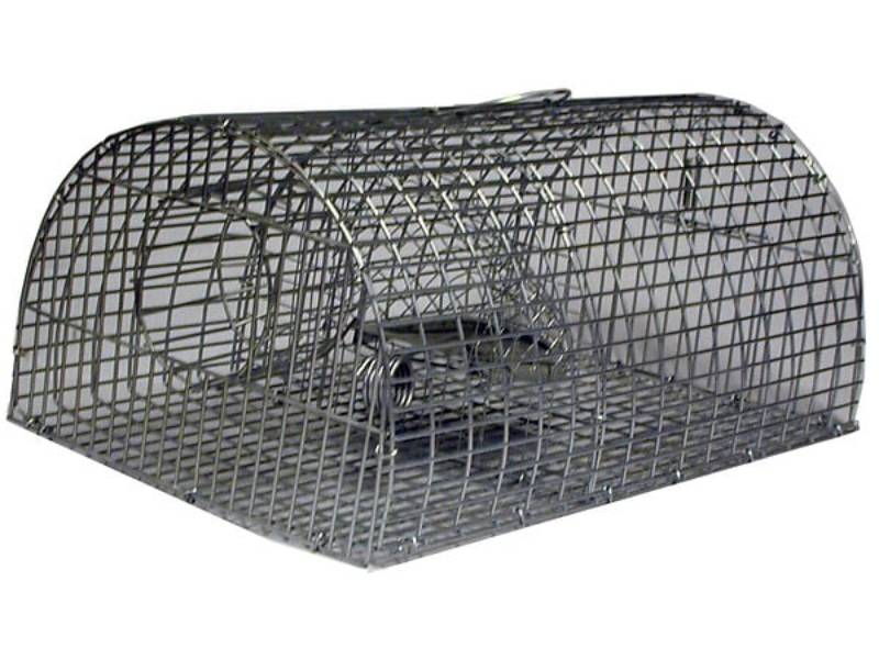 Nasse à rat multiprise MASY