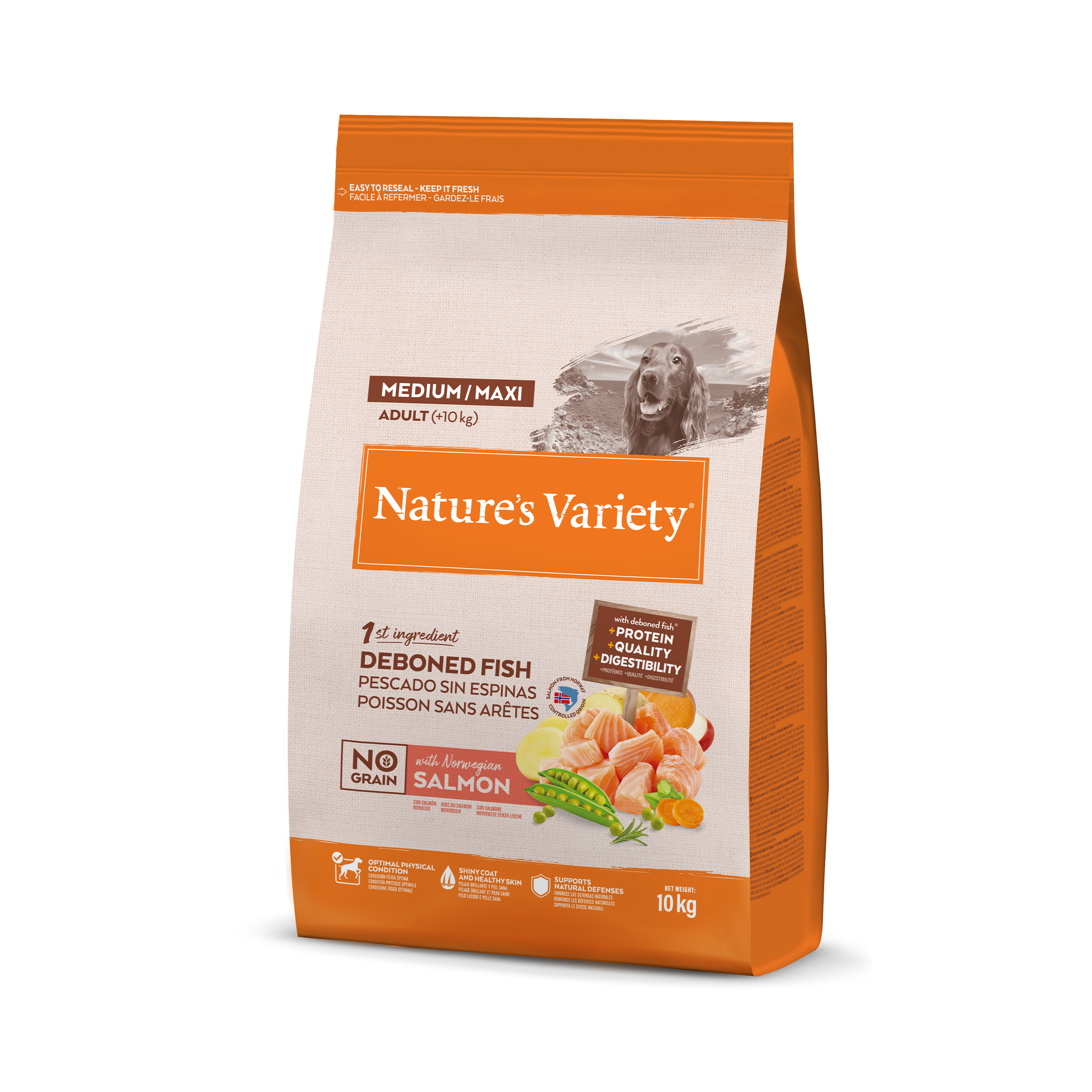 Croquettes pour chien adulte sans céréales medium maxi saumon 10 kg - Nature's Variety - Image 4