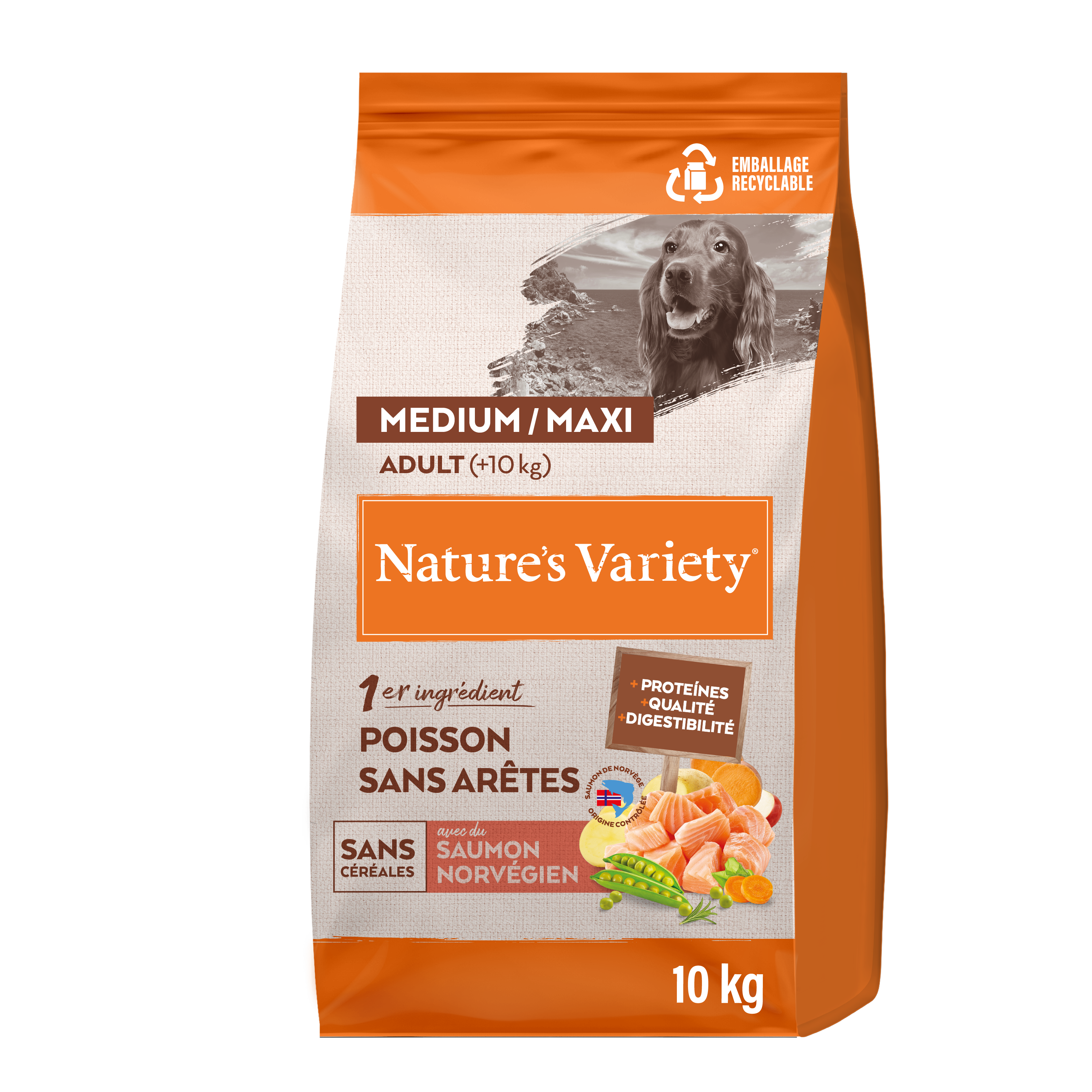 Croquettes pour chien adulte sans céréales medium maxi saumon 10 kg - Nature's Variety - Image 3