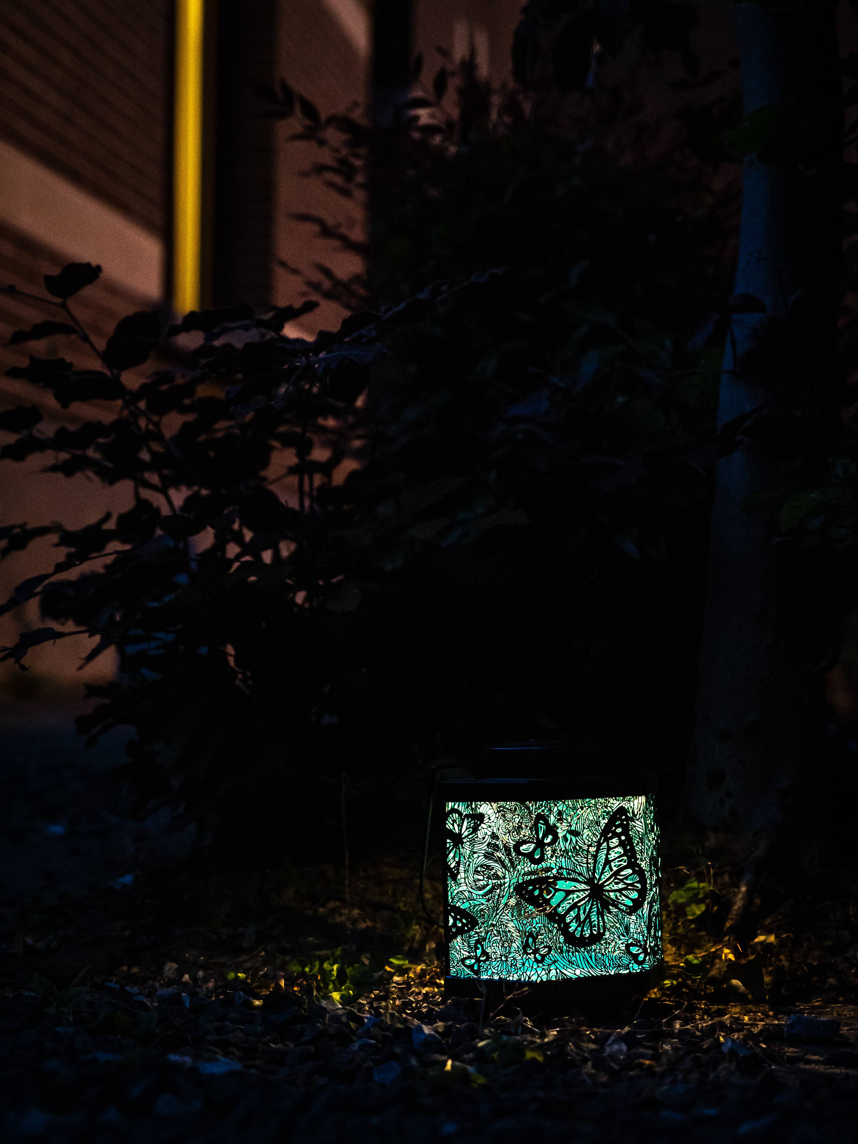Garden ID - Garden ID - Lanterne solaire papillon L.13 x l.9,5 x H.15 cm - Image 3