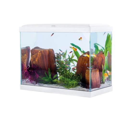 Pure Family - Aquarium pour poisson Fresh 40 blanc 20 L - Pure Family - Image 5