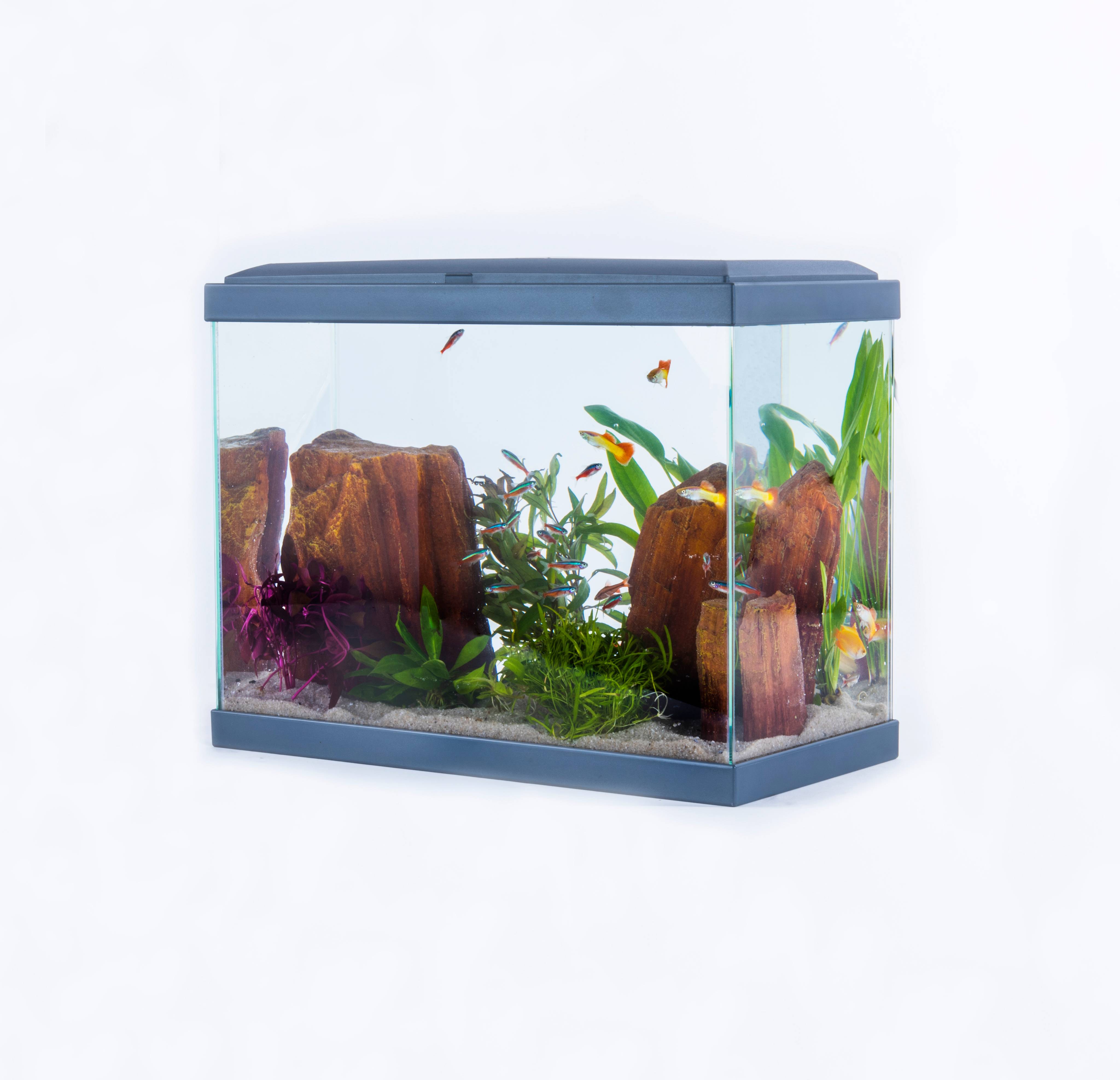 Pure Family - Aquarium pour poisson Fresh 40 gris 20 L - Pure Family - Image 2