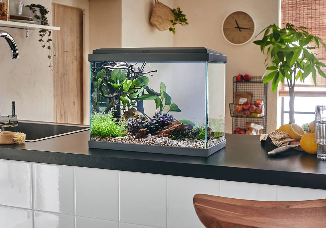 Pure Family - Aquarium pour poisson Fresh 40 Led gris 20 L - Pure Family - Image 2