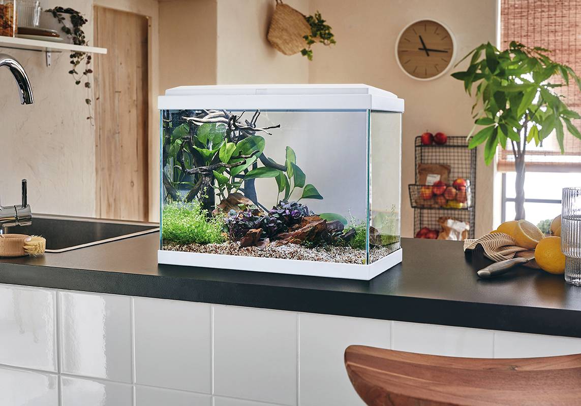 Pure Family - Aquarium pour poisson Fresh 40 Led blanc 20 L - Pure Family - Image 1