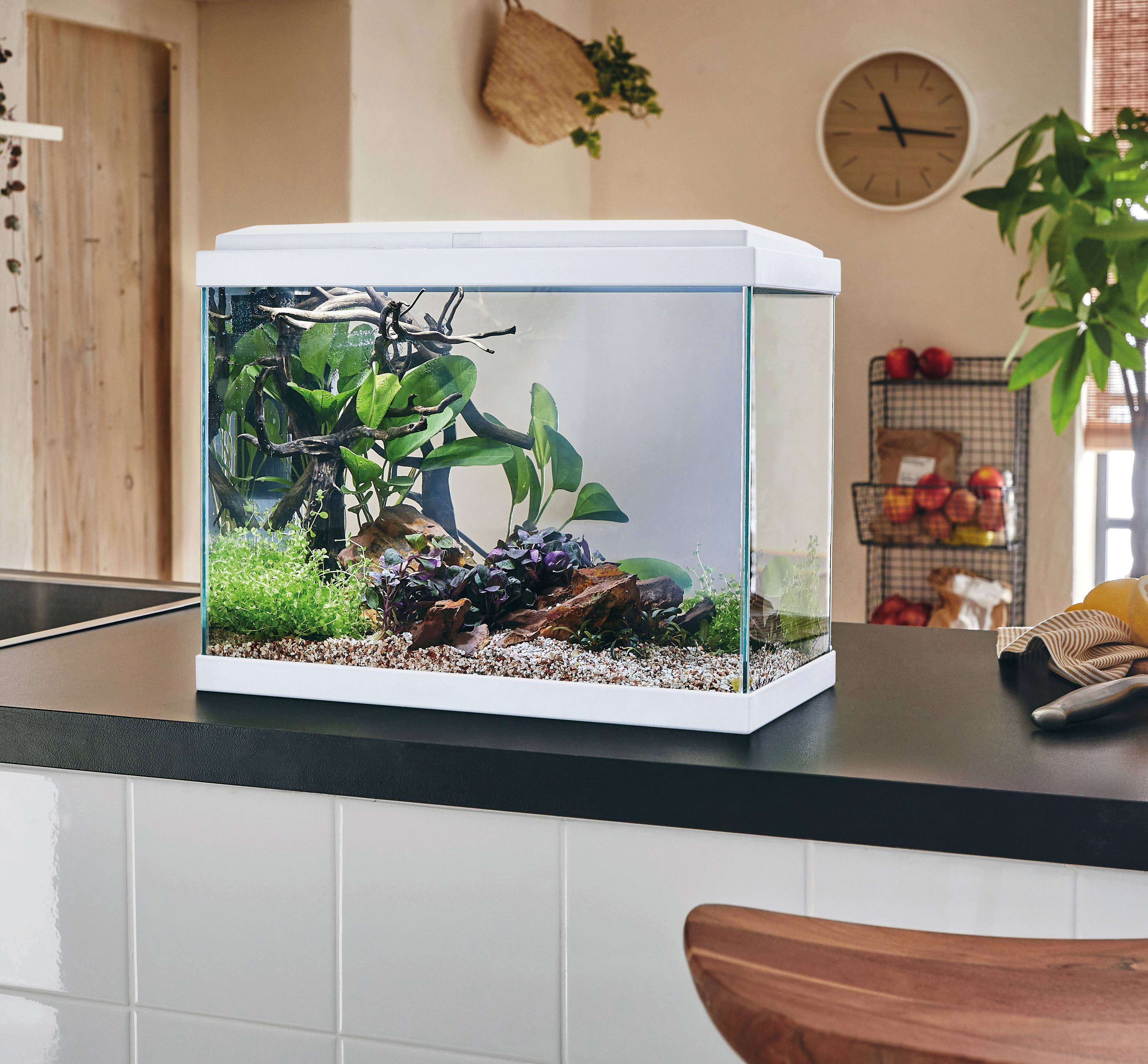 Pure Family - Aquarium pour poisson Fresh 40 Led blanc 20 L - Pure Family - Image 2