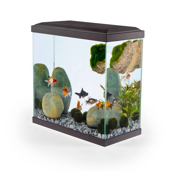 Pure Family - Aquarium pour poisson Fresh 40 XL Led gris 25 L - PURE FAMILY - Image 6