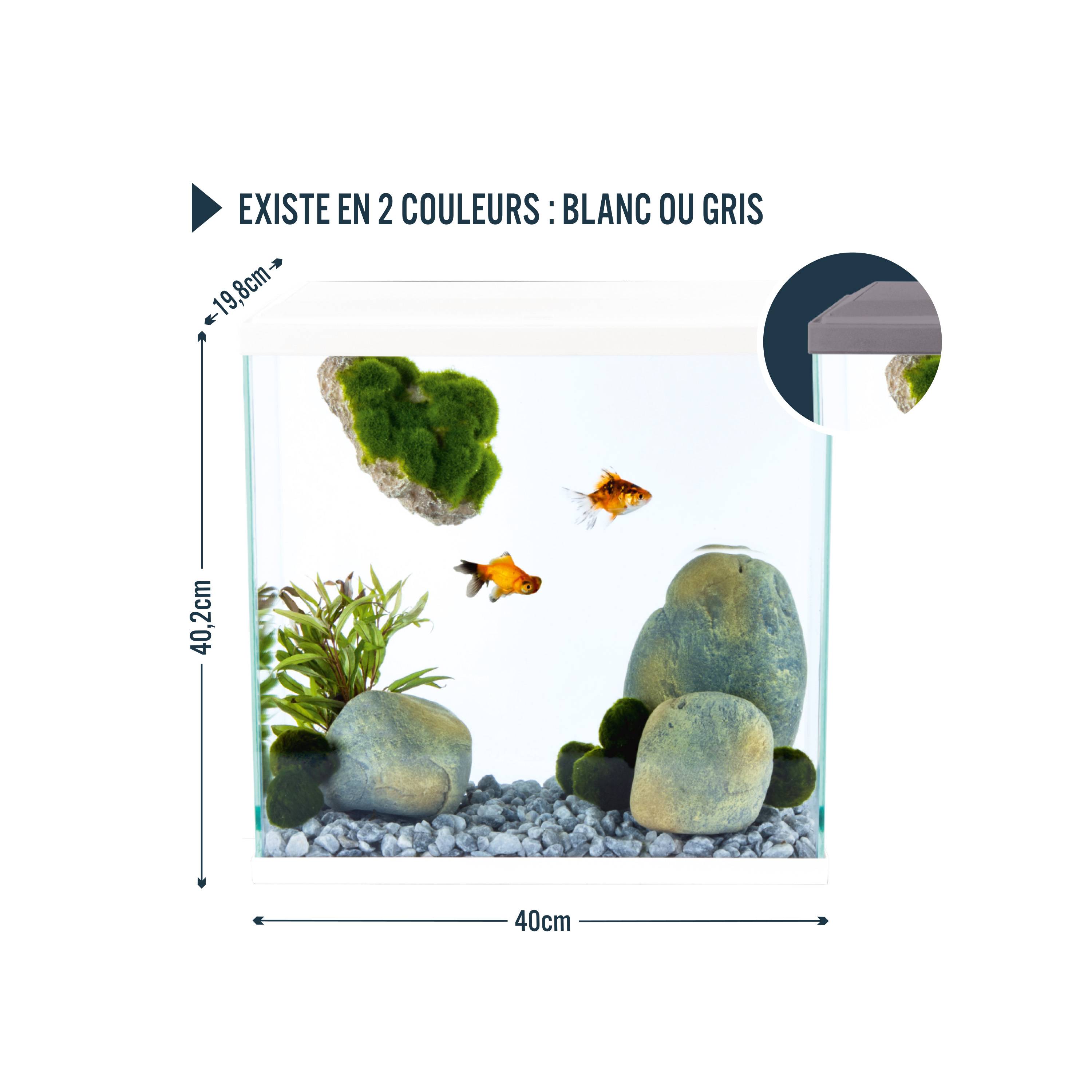 Pure Family - Aquarium pour poisson Fresh 40 XL Led gris 25 L - PURE FAMILY - Image 7