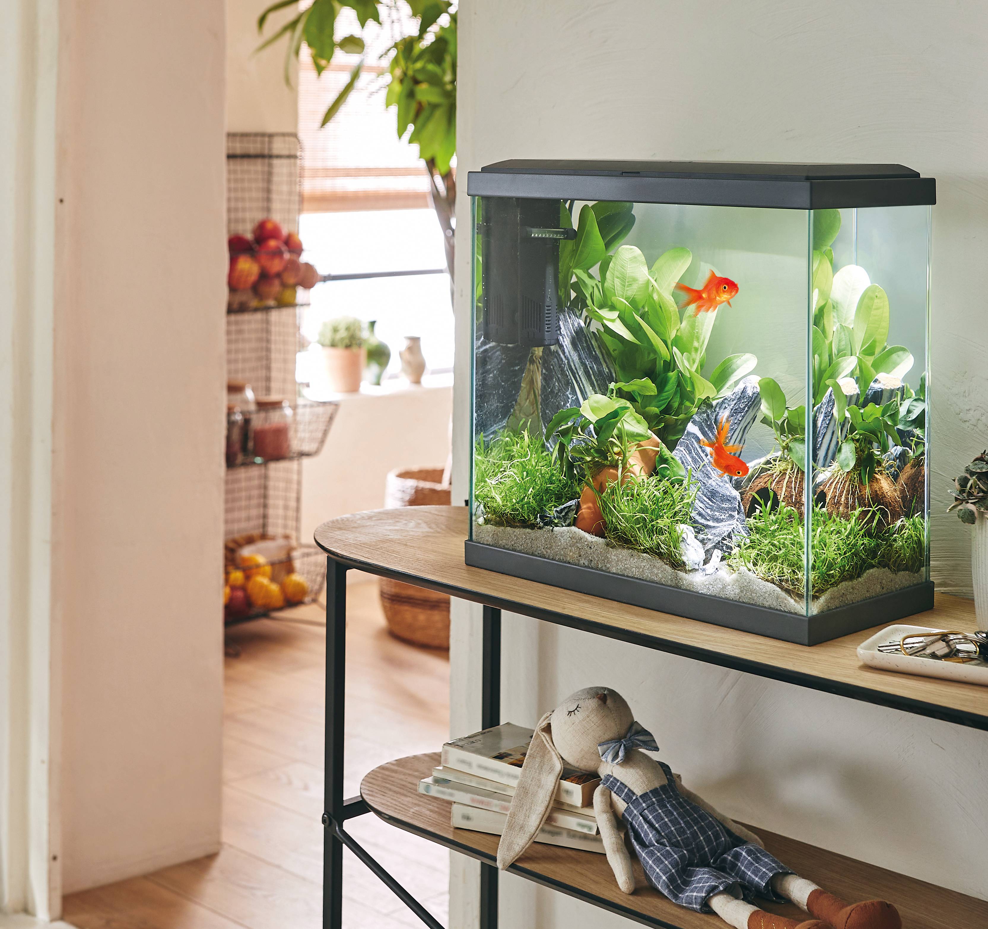 Pure Family - Aquarium pour poisson Fresh 40 XL Led gris 25 L - PURE FAMILY - Image 1