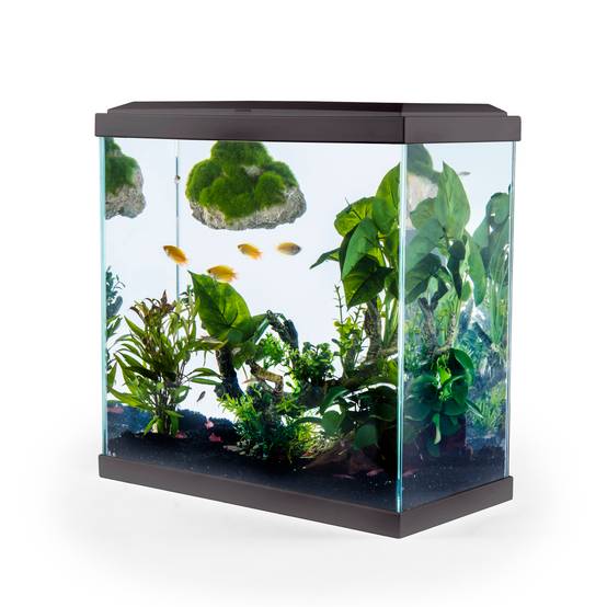 Pure Family - Aquarium pour poisson Fresh 40 XL Led gris 25 L - PURE FAMILY - Image 8