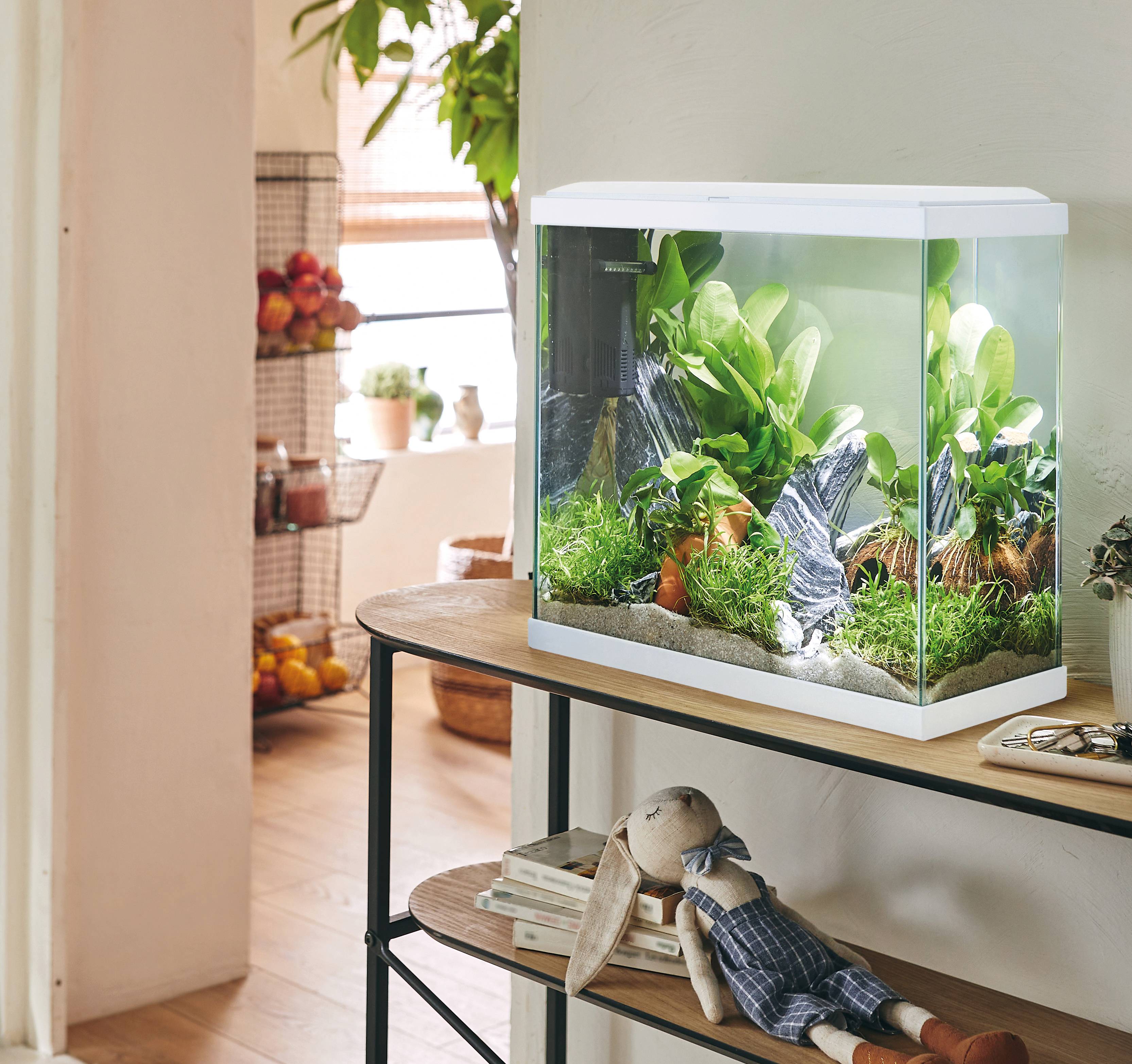 Pure Family - Aquarium pour poisson Fresh 40 XL Led blanc 25 L - Pure Family