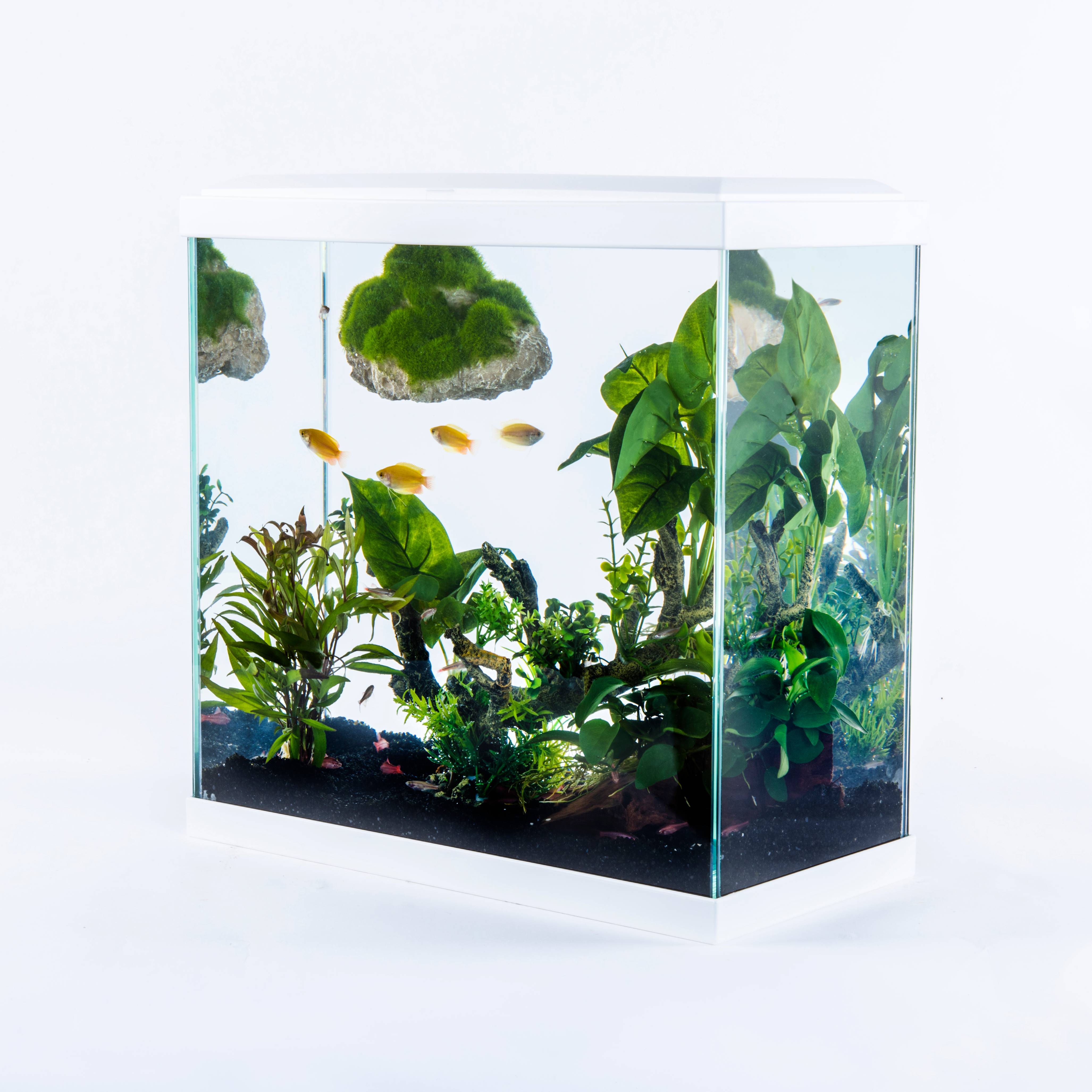 Pure Family - Aquarium pour poisson Fresh 40 XL Led blanc 25 L - Pure Family - Image 9