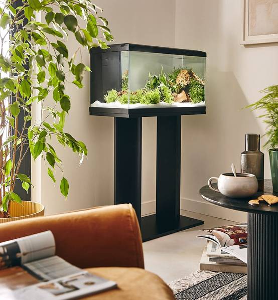 Pure Family - Aquarium pour poisson Tropical Pur 60 noir 48 L - Pure Family - Image 1