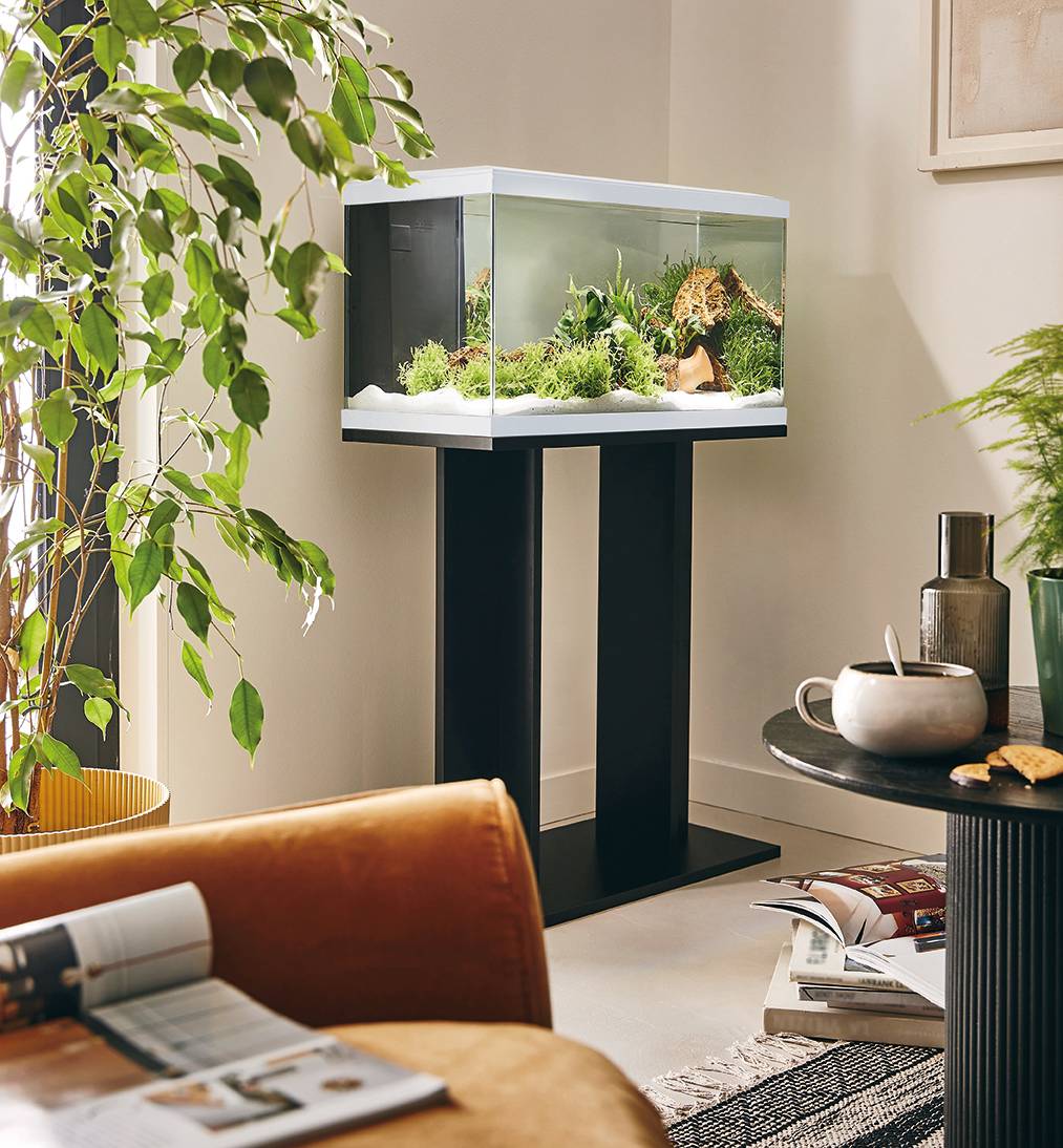 Pure Family - Aquarium pour poisson Tropical Pur 60 blanc 48 L -  Pure Family - Image 2