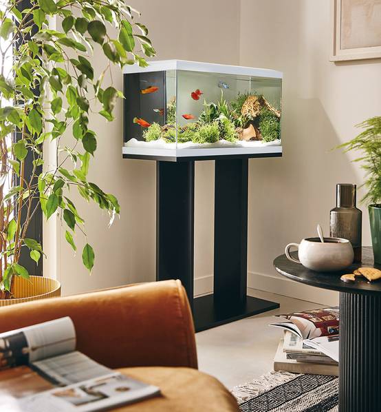 Pure Family - Aquarium pour poisson Tropical Pur 60 blanc 48 L - Pure Family - Image 1