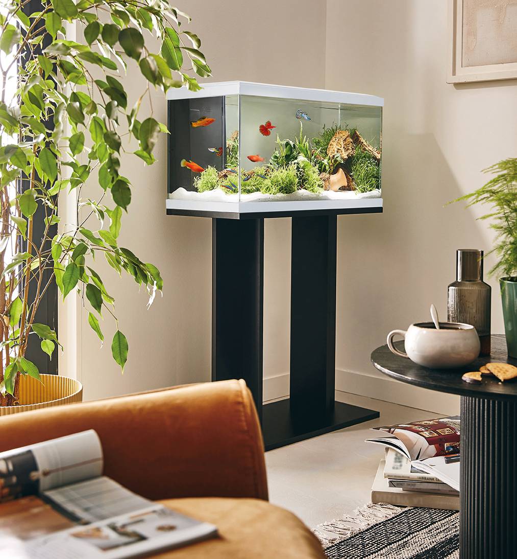 Pure Family - Aquarium pour poisson Tropical Pur 60 blanc 48 L -  Pure Family