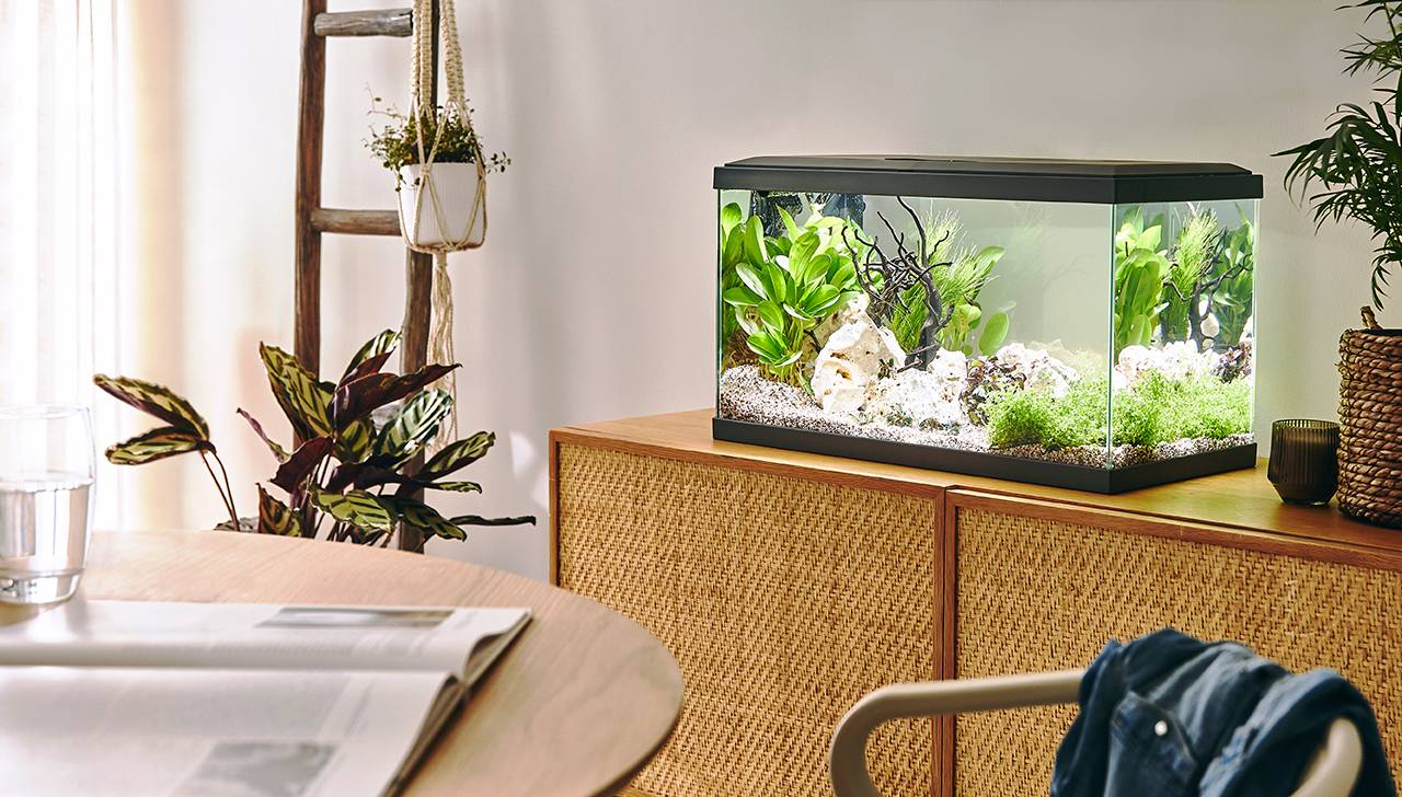 Pure Family - Aquarium pour poisson Tropical 60 gris 48 L - Pure Family - Image 1