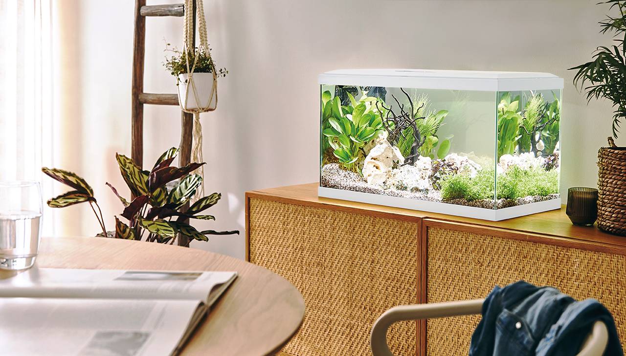 Pure Family - Aquarium pour poisson Tropical 60 blanc 48 L -  Pure Family - Image 2