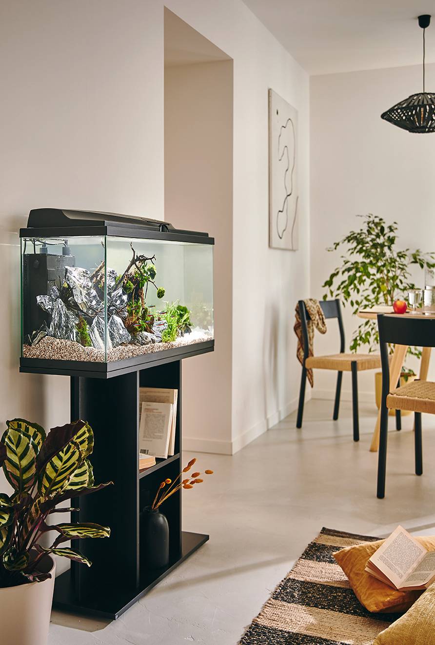 Pure Family - Aquarium pour poisson Tropical 80 Noir 81L - Pure Family - Image 3