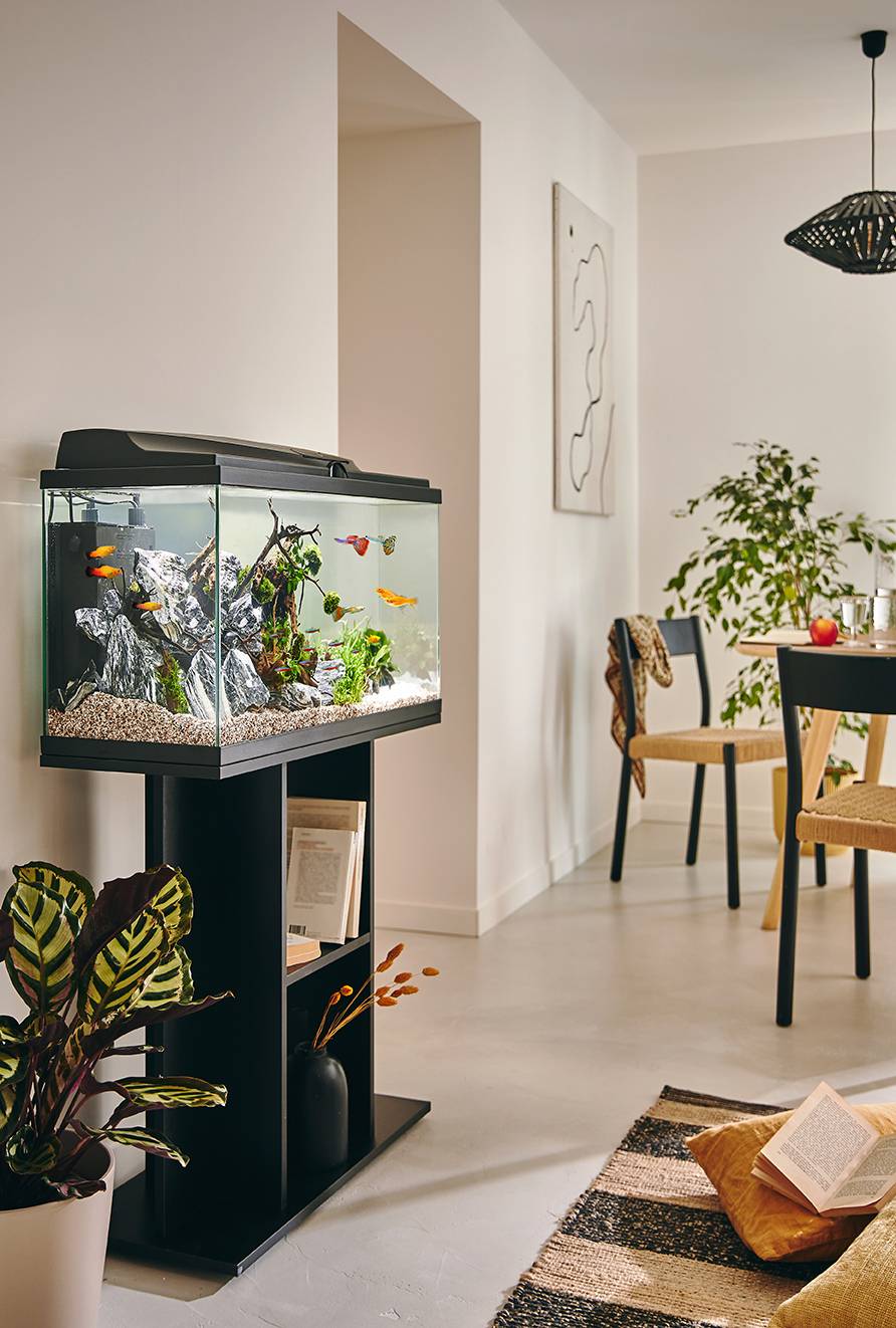 Pure Family - Aquarium pour poisson Tropical 80 Noir 81L - Pure Family - Image 1