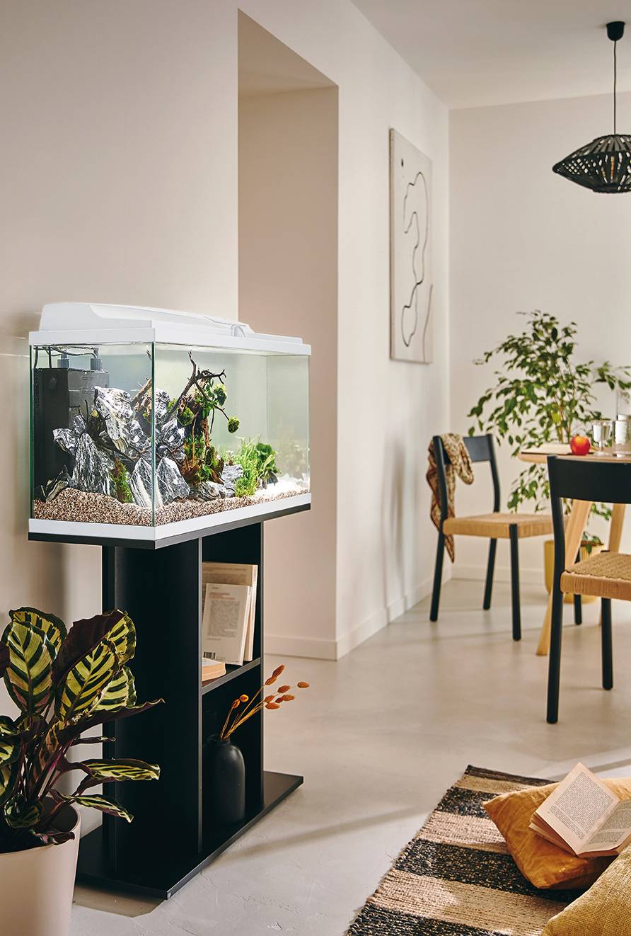 Pure Family - Aquarium pour poisson Tropical 80 Blanc 81L - Pure Family - Image 1