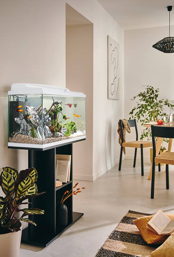 Pure Family - Aquarium pour poisson Tropical 80 Blanc 81L - Pure Family - Image 3