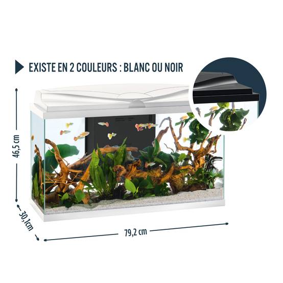 Pure Family - Aquarium pour poisson Tropical 80 Blanc 81L - Pure Family - Image 11