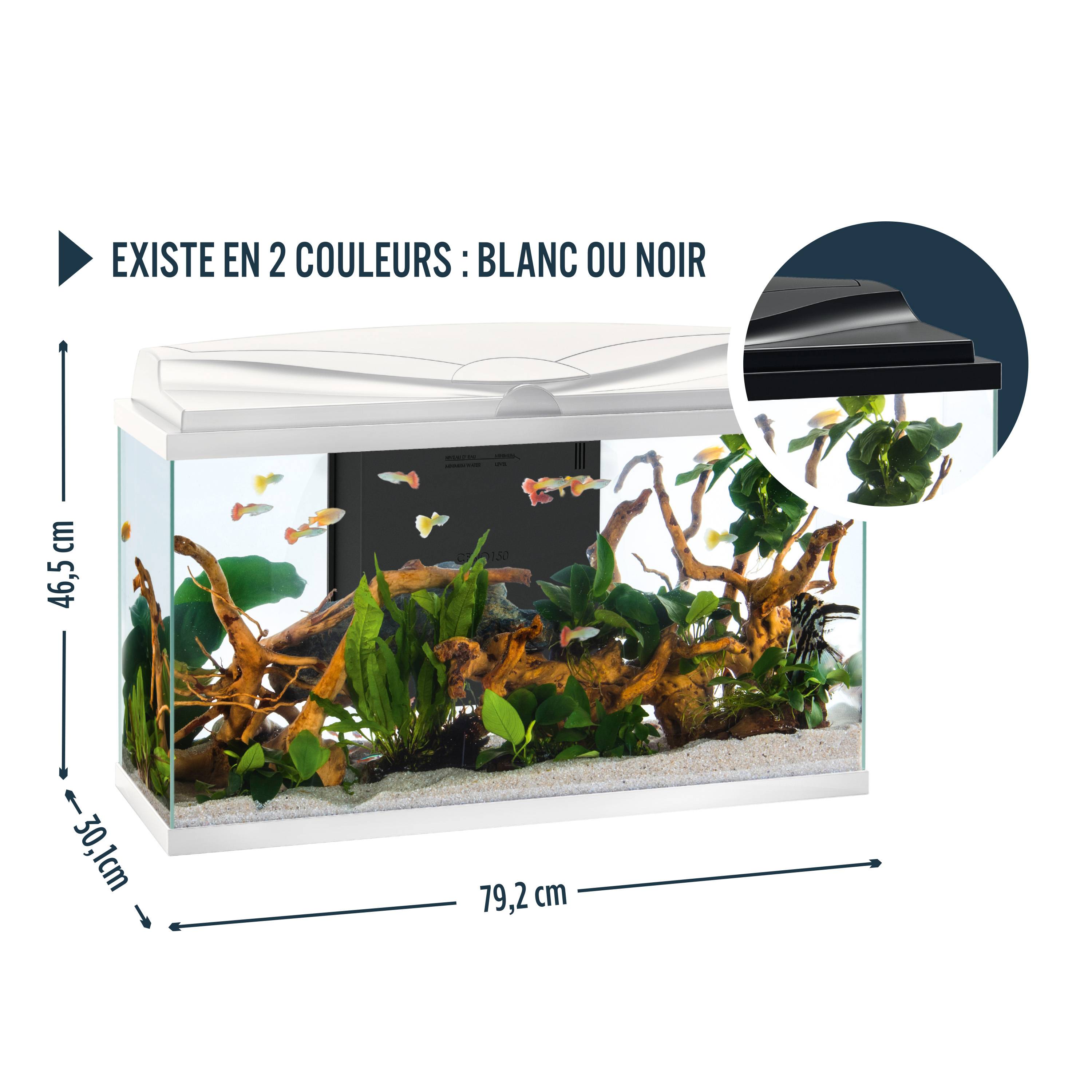 Pure Family - Aquarium pour poisson Tropical 80 Blanc 81L - Pure Family - Image 11