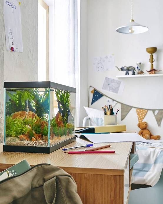 Pure Family - Aquarium Fresh 35 Start 35 noir 13 L - Pure Family - Image 2