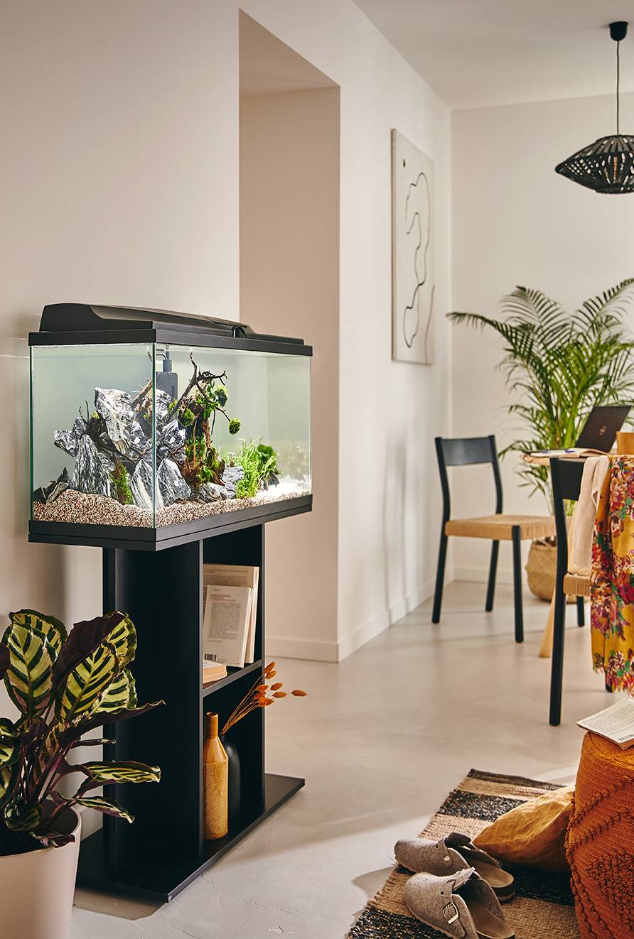 Pure Family - Aquarium pour poisson Tropical 80 noir 74 L - Pure Family - Image 1
