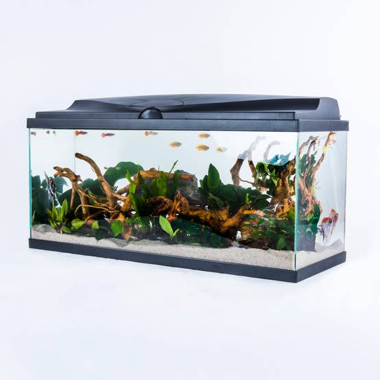 Pure Family - Aquarium pour poisson Tropical 80 noir 74 L - Pure Family - Image 11