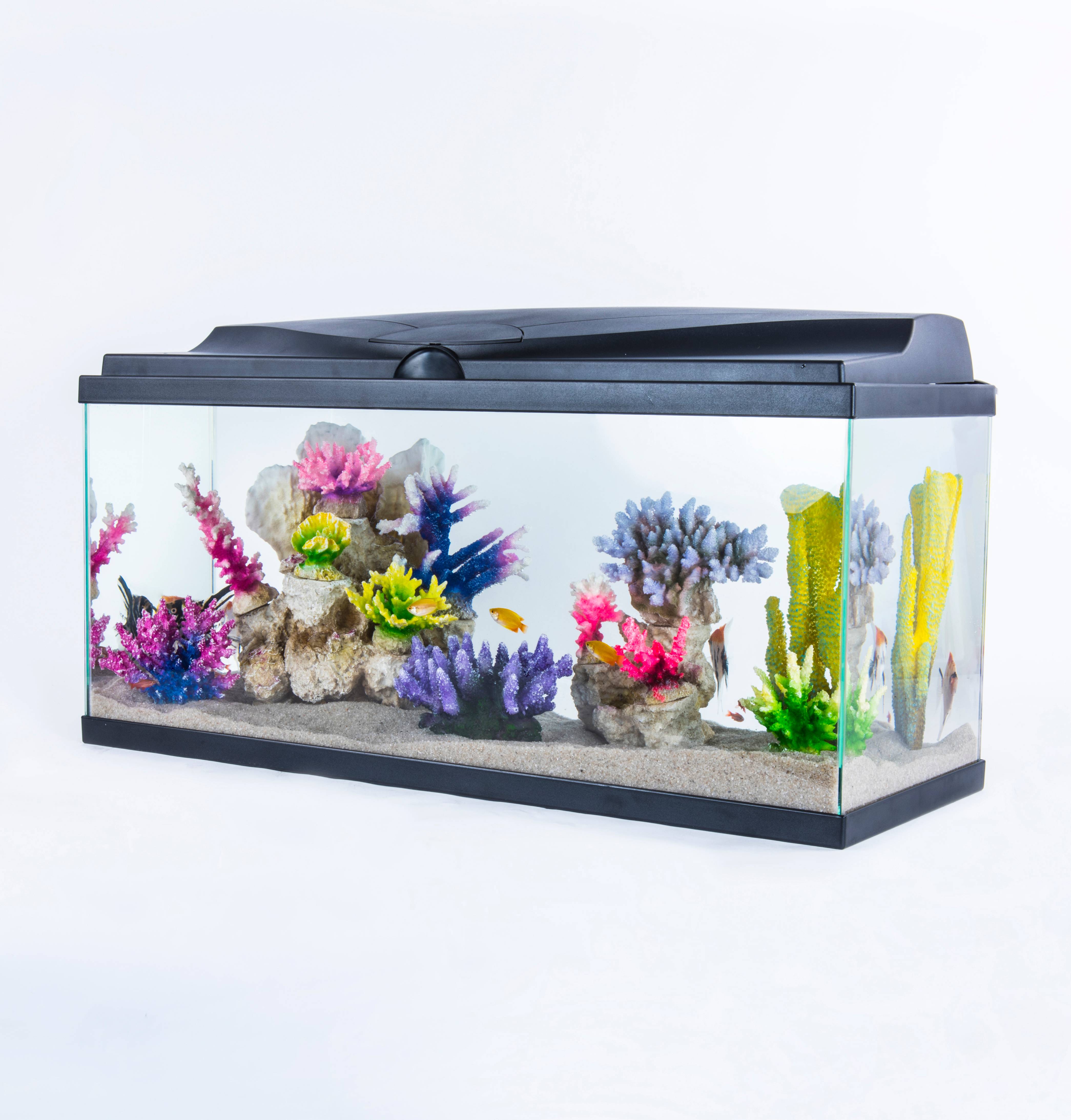 Pure Family - Aquarium pour poisson Tropical 80 noir 74 L - Pure Family - Image 10