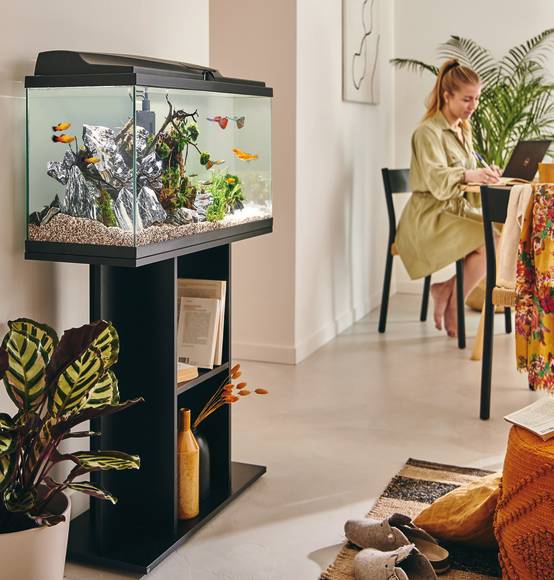 Pure Family - Aquarium pour poisson Tropical 80 noir 74 L - Pure Family - Image 1