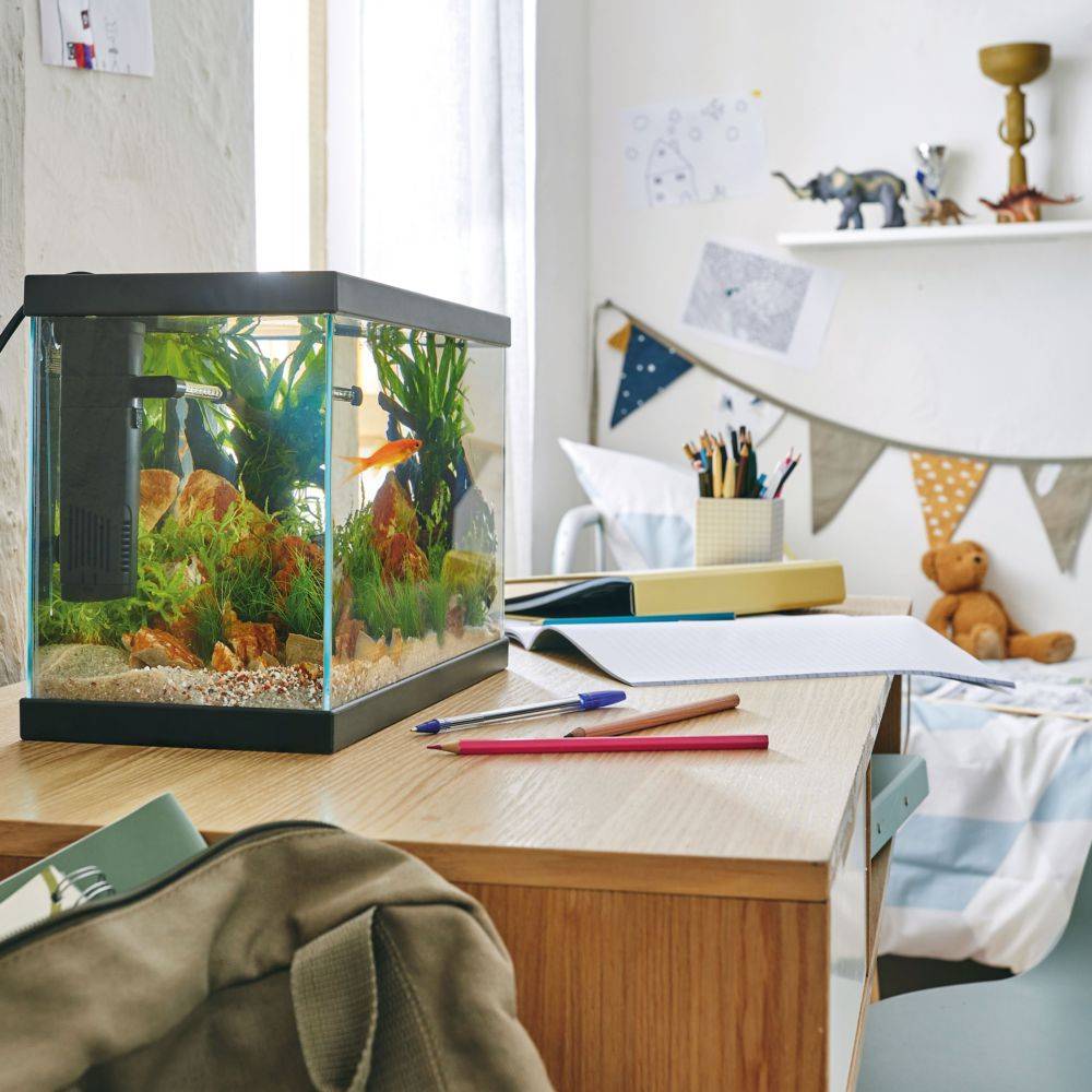 Pure Family - Aquarium Fresh 35 noir 13 L - Pure Family - Image 1