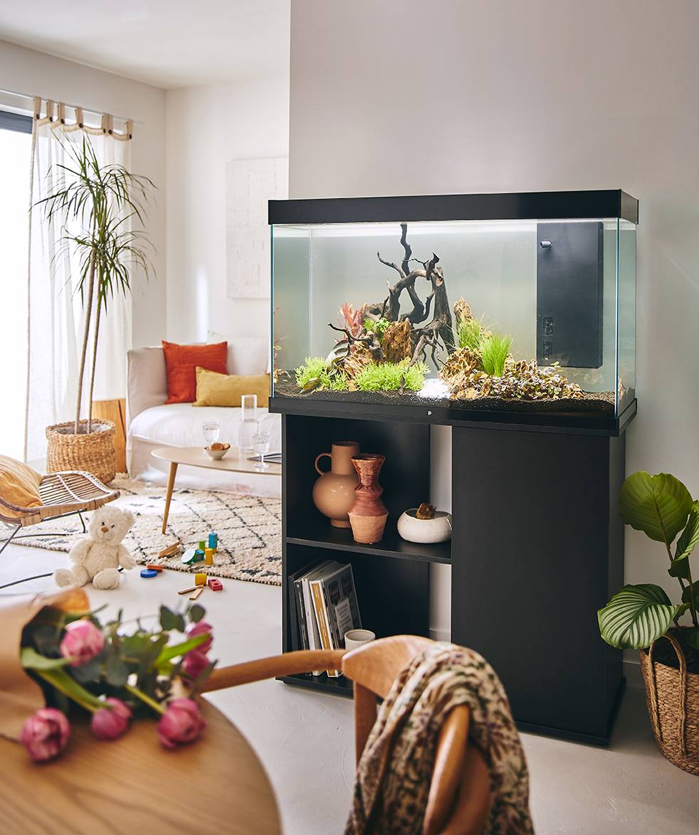 Pure Family - Aquarium pour poisson Tropical 102 XL noir 201 L - Pure Family - Image 1