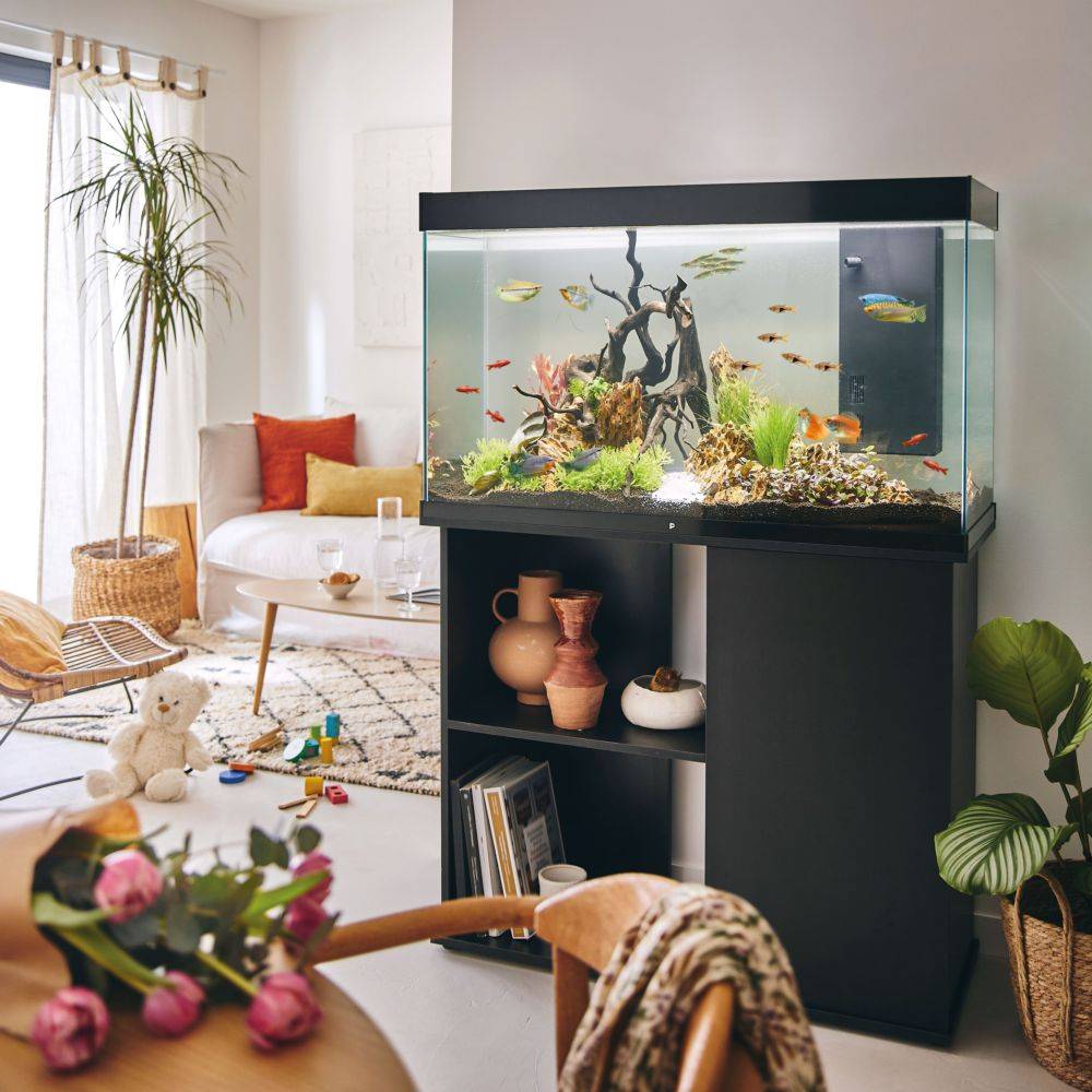 Pure Family - Aquarium pour poisson Tropical 102 XL noir 201 L - Pure Family - Image 5