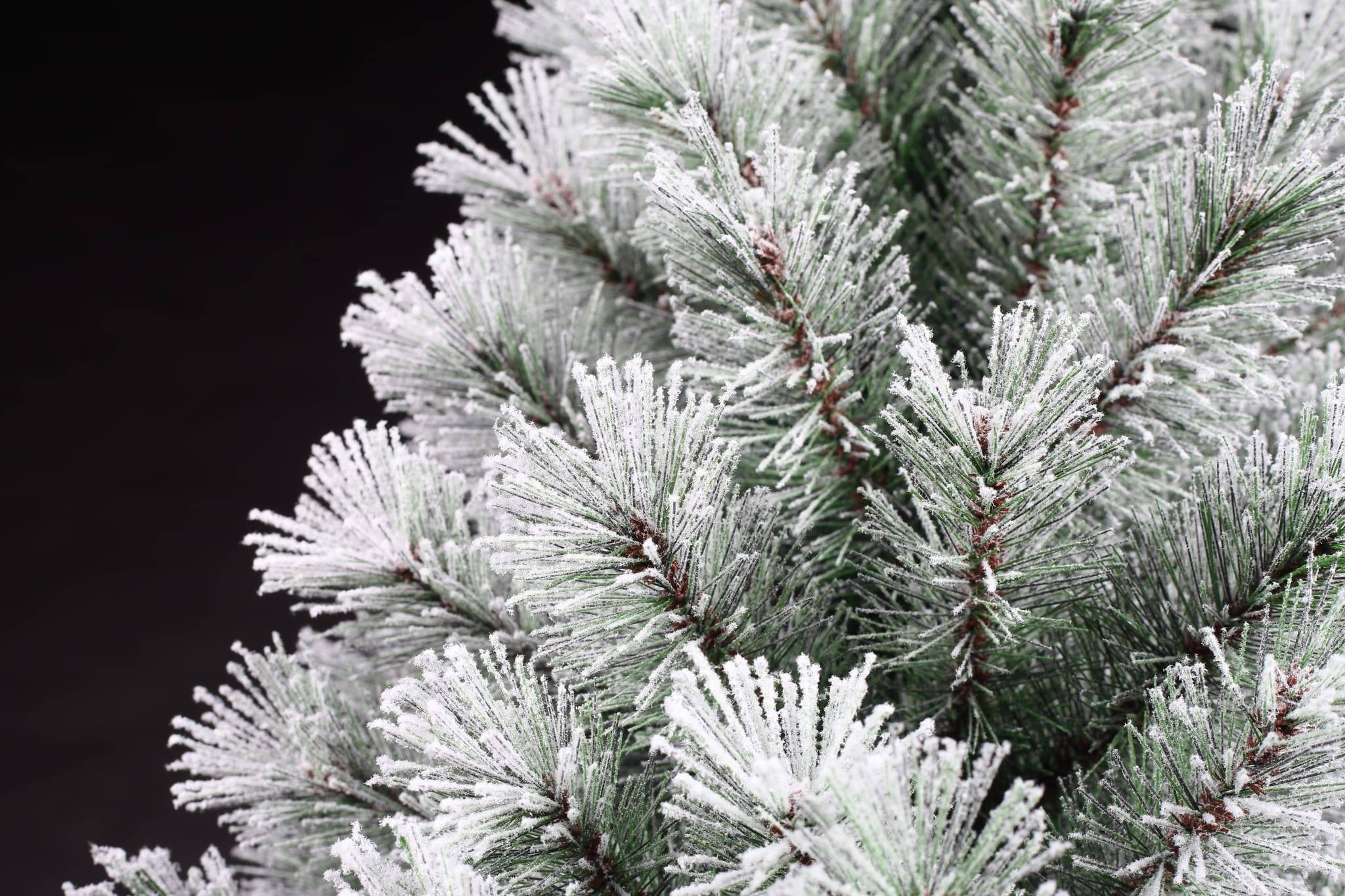Ecloz - Sapin artificiel Morzine - H.155 cm - ECLOZ - Image 3