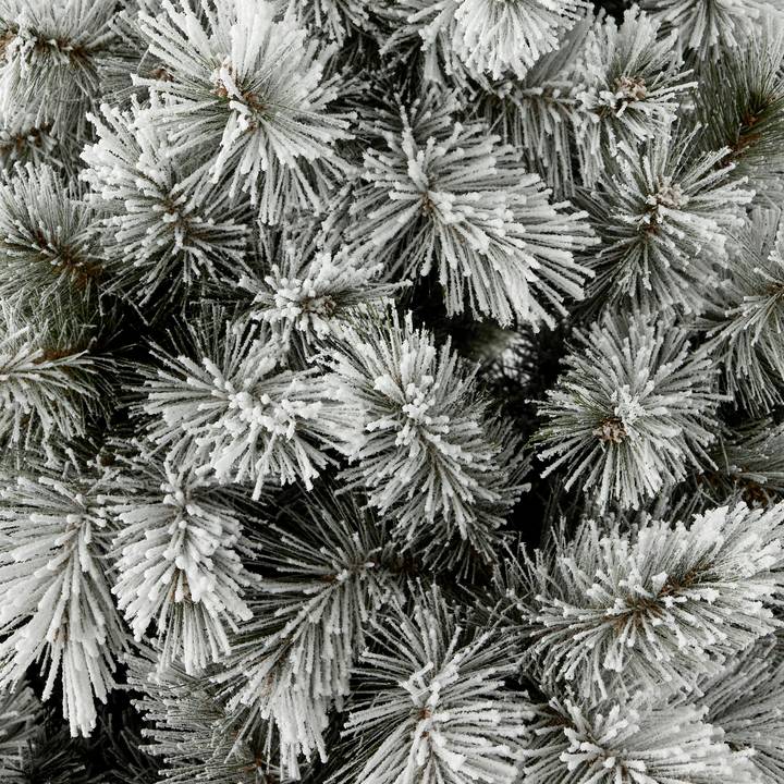 Ecloz - Sapin artificiel Huez enneigé - H.255 cm - ECLOZ - Image 3