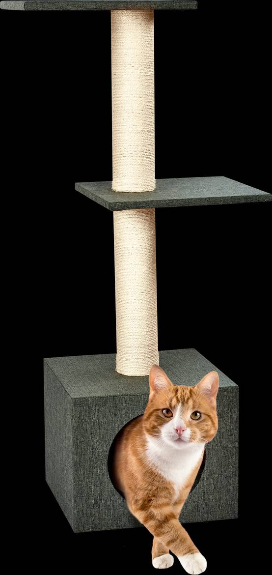 Pure Family - Arbre à chat SALTO 90 cm - Pure Family