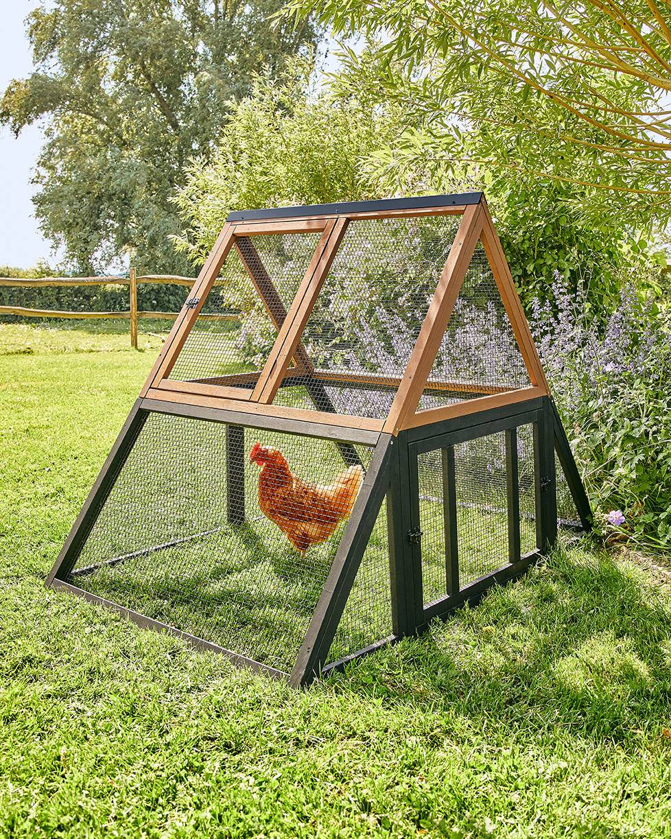 Pure Family - Pure Family - Extension pour Poulailler L’INO 3 poules - Image 1