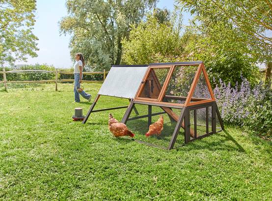 Pure Family - Pure Family - Extension pour Poulailler L’INO 3 poules - Image 4