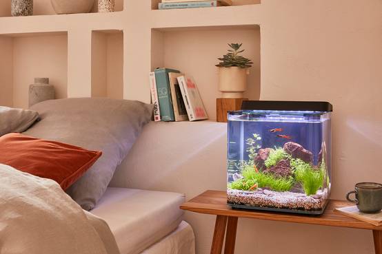 Pure Family - Nano Aquarium Harmonie 20L - Pure Family - Image 1