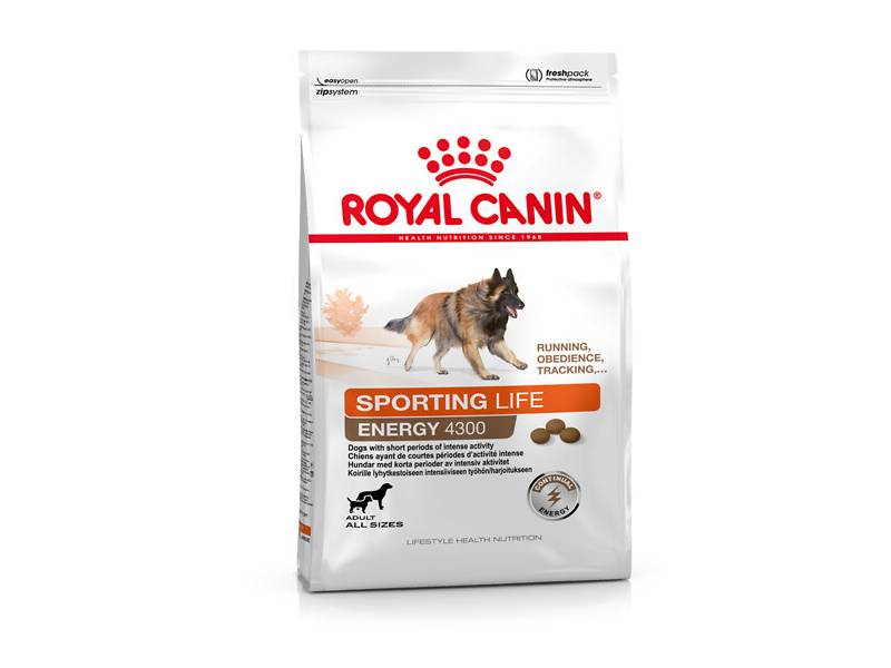 Royal Canin - Croquettes chien Sporting Life Energy 4300 15 kg - ROYAL CANIN